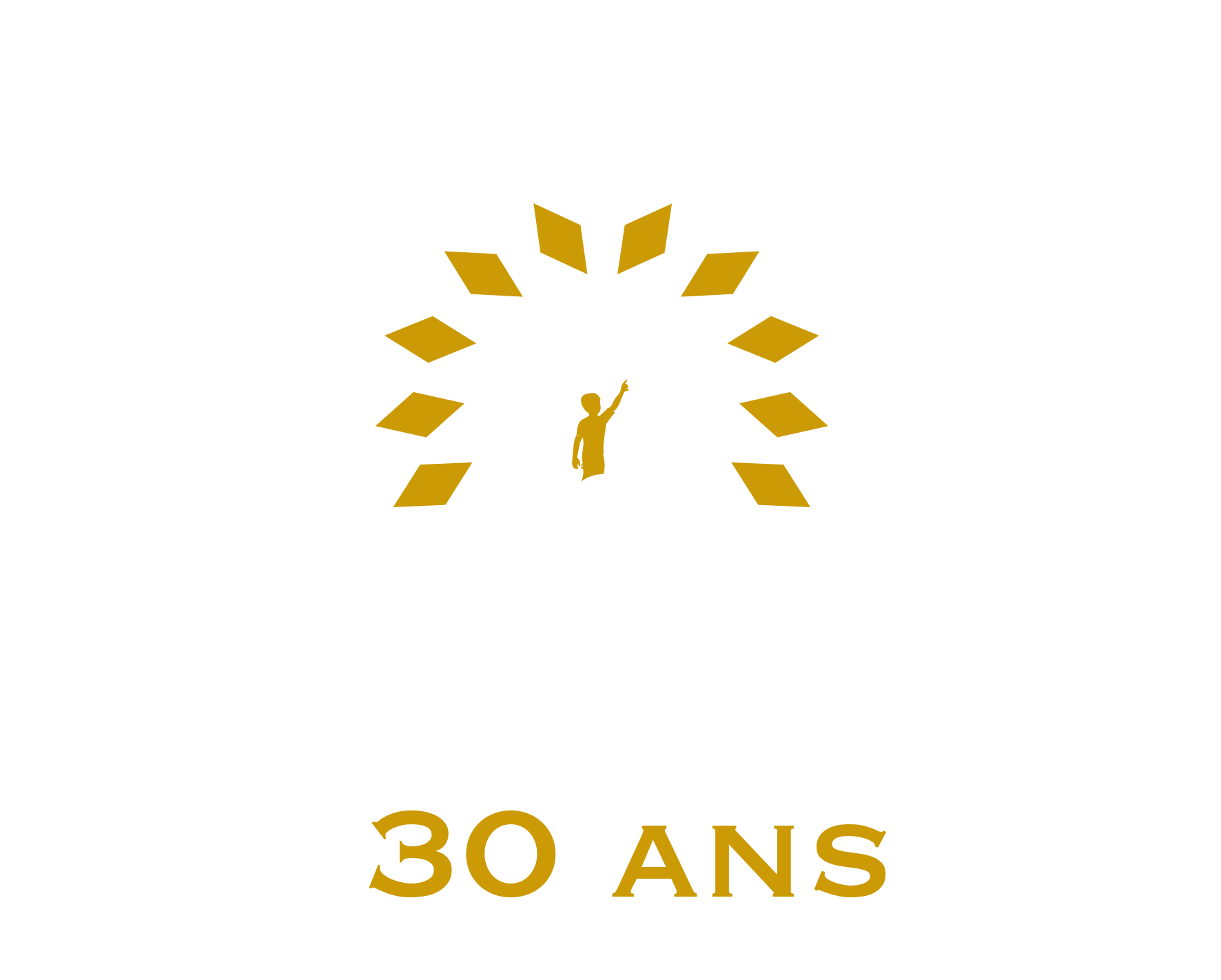 PyroConcept - Logo