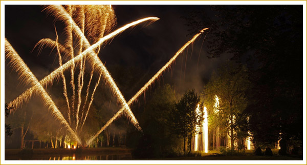 Feu d'artifice d'anniversaire